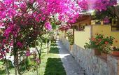 Туры в отель Hotel Villaggio Tabu