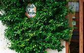 Туры в отель Hotel Nido Verde