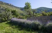 Туры в отель Borgo La Pietraia