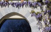 Туры в отель Tenuta De L'Annunziata - Natural Relais