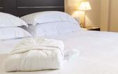 Туры в отель BV President Hotel