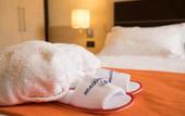 Туры в отель BV President Hotel