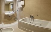 Туры в отель BV President Hotel