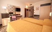 Туры в отель Brindor Hotel
