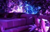 Туры в отель Hotel Carosello
