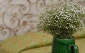 Туры в отель Le Alcove Luxury Resort nei Trulli