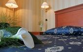 Туры в отель Hotel Hermitage