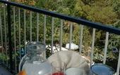 Туры в отель Hotel Garden Riviera