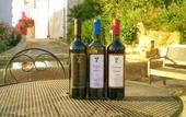 Туры в отель Agriturismo Tarantola