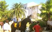 Туры в отель Agriturismo Tarantola