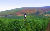 Туры в отель Agriturismo Tarantola