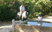 Туры в отель Agriturismo Tarantola