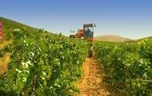 Туры в отель Agriturismo Tarantola