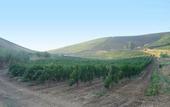 Туры в отель Agriturismo Tarantola