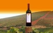 Туры в отель Agriturismo Tarantola