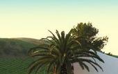 Туры в отель Agriturismo Tarantola