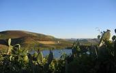 Туры в отель Agriturismo Tarantola
