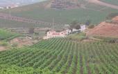 Туры в отель Agriturismo Tarantola