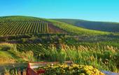 Туры в отель Agriturismo Tarantola