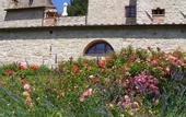 Туры в отель Borgo di Pietrafitta Relais