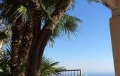 Туры в отель B&B I Limoni