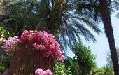 Туры в отель B&B I Limoni