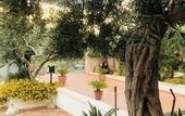 Туры в отель Hotel Achibea