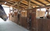 Туры в отель Agriturismo Tre Rondini