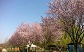 Туры в отель Agriturismo Tre Rondini