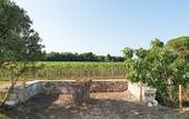 Туры в отель Masseria Mongio dell'Elefante