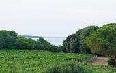 Туры в отель Masseria Mongio dell'Elefante