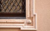 Туры в отель Cento Tari Guest House