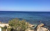 Туры в отель L'Approdo di Angelino