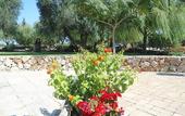 Туры в отель Hotel Masseria Le Pajare