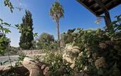 Туры в отель Hotel Masseria Le Pajare