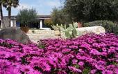 Туры в отель Cambiocavallo Unesco Area & Resort