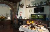 Туры в отель B&B Elena