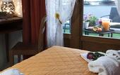 Туры в отель B&B Elena
