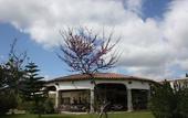 Туры в отель Hotel Domu Incantada