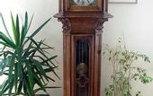 Туры в отель Hotel Corone
