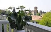 Туры в отель Palazzo della Scala Spa Hotel Suites & Apartments