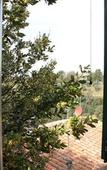 Туры в отель Locanda Etrusca