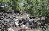 Туры в отель Etnella enoagriturismo Notti Stellate