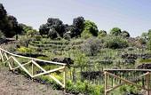 Туры в отель Etnella enoagriturismo Notti Stellate