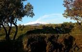 Туры в отель Etnella enoagriturismo Notti Stellate
