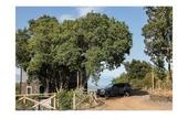 Туры в отель Etnella enoagriturismo Notti Stellate