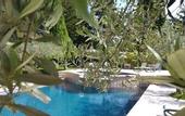 Туры в отель I Capricci di Merion Resort & Spa