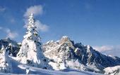 Туры в отель Lagacio Hotel Mountain Residence