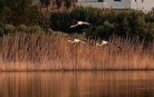 Туры в отель B&B Le Saline