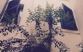 Туры в отель Locanda della Biscia